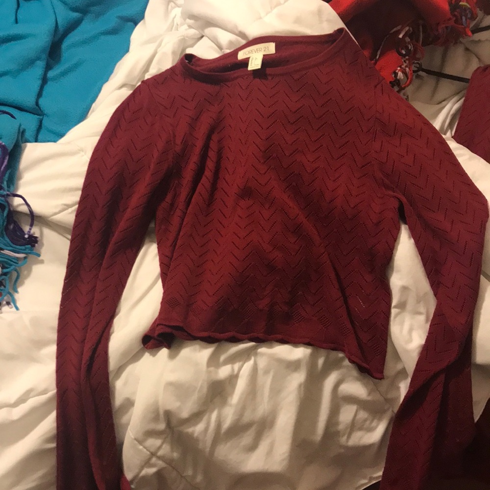 NWOT Cropped Forever 21 Sweater