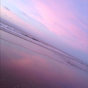 Meet your Posher, Evie