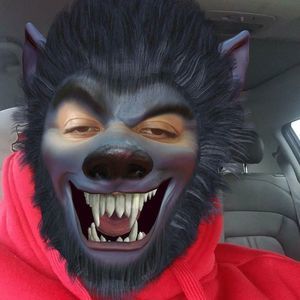 Meet your Posher, Benny