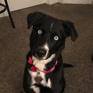 Meet your Posher, Brianne