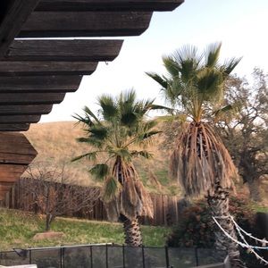 Meet your Posher, Damion