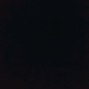 Meet your Posher, Dustin