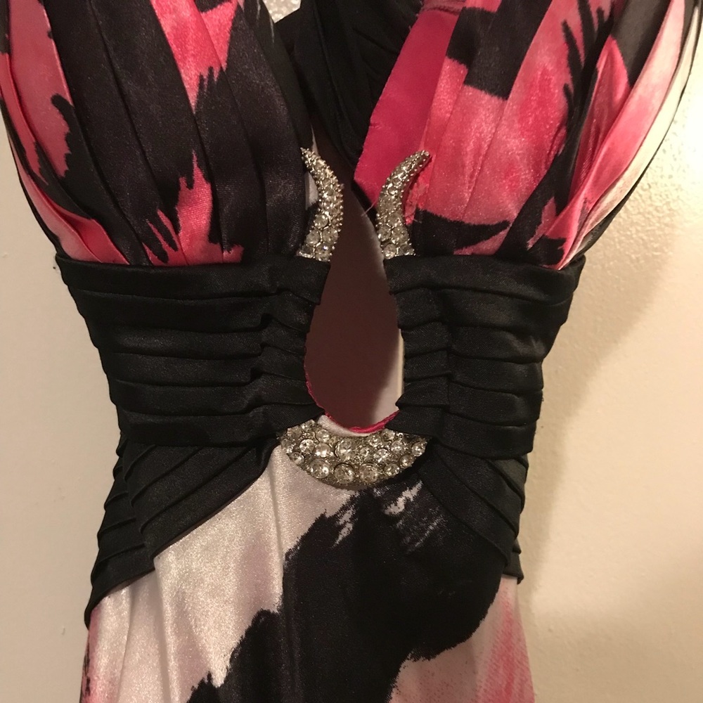 Stunning pink animal print Cache silk dress!