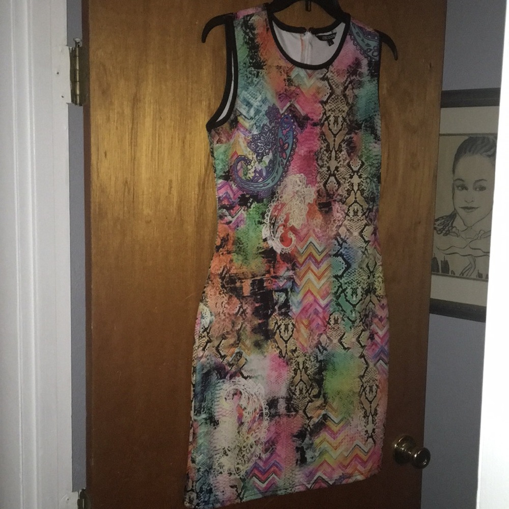 Multi Floral Rainbow Paisley Snake Skin Bodycon