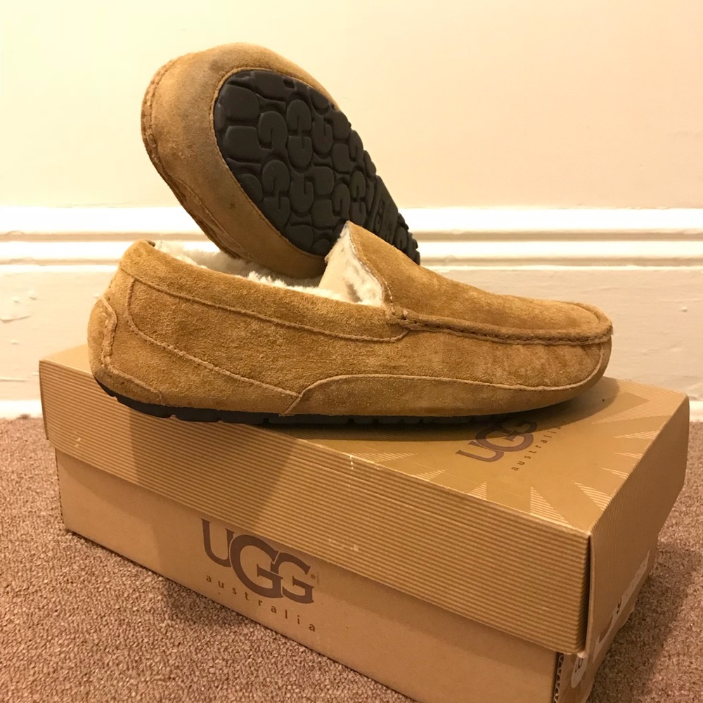 Ugg Ascot