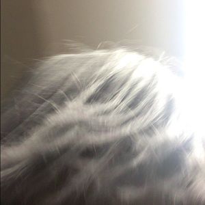 Meet your Posher, Lamin