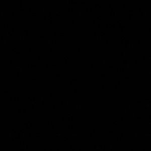 Meet your Posher, Max