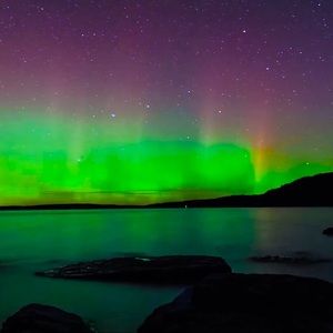 Meet your Posher, Austin