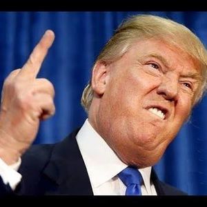 Meet your Posher, Dylan