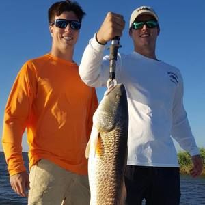 Meet your Posher, Logan