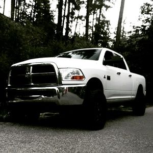 Meet your Posher, Tessa