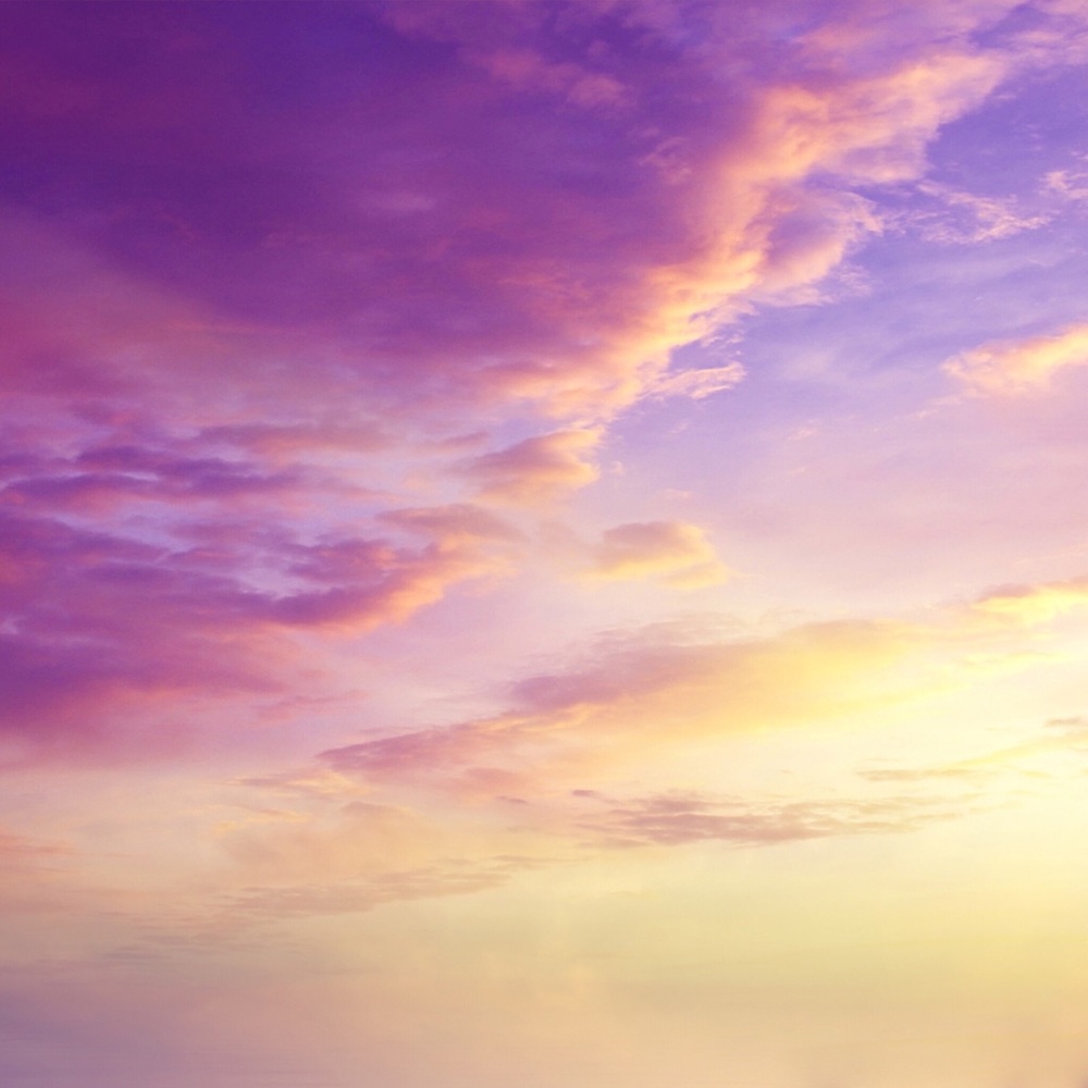 Meet your Posher, Carlie