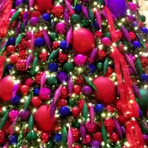 Meet your Posher, Eva