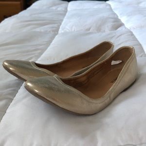 Gold Flats