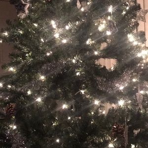 Meet your Posher, Paulette