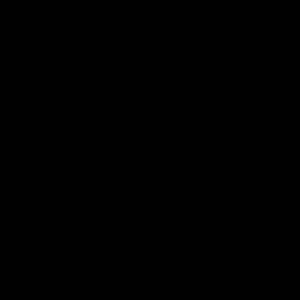 Meet your Posher, Dedrick