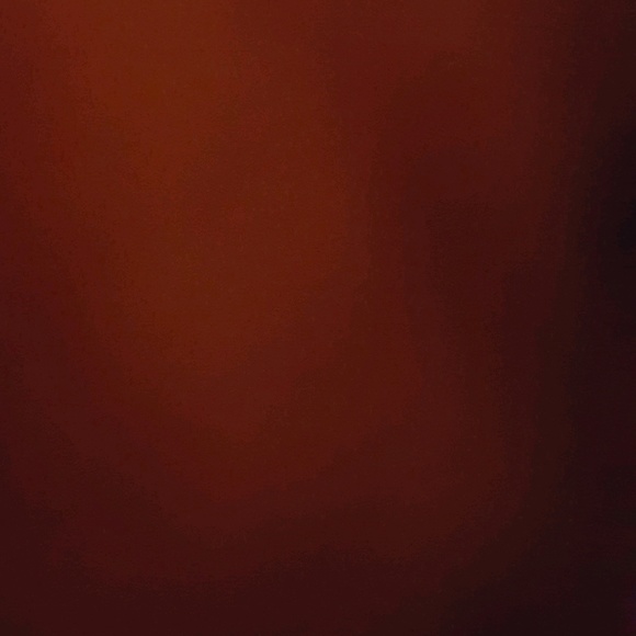 Meet your Posher, Gabrielle - Picture 1 of 1