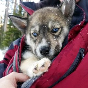 Meet your Posher, Terri