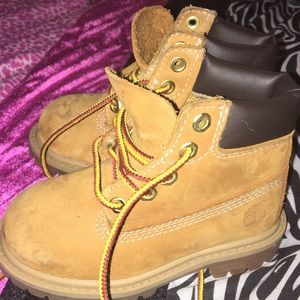 Timberlands (Toddler)