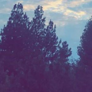 Meet your Posher, Larissa