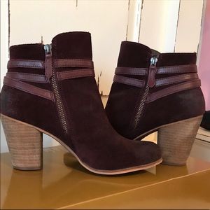 Maroon suede booties