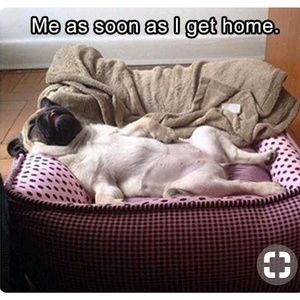 Meet your Posher, Dana