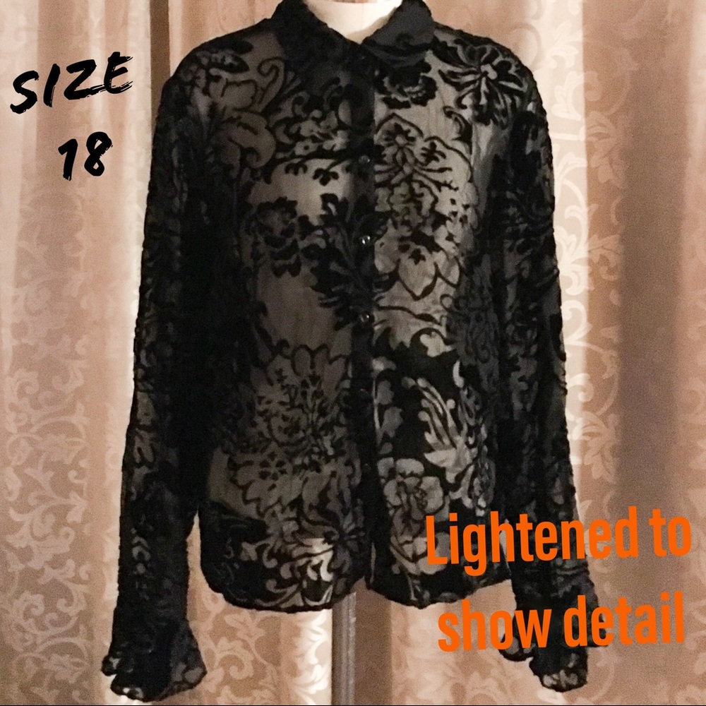 It’s Parrr-ty Season Size 18 Sheer Velvet Top