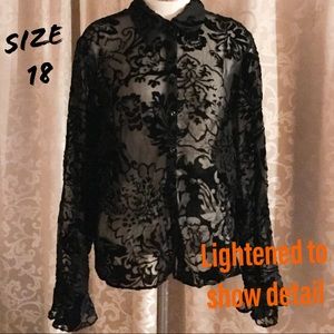 It’s Parrr-ty Season Size 18 Sheer Velvet Top