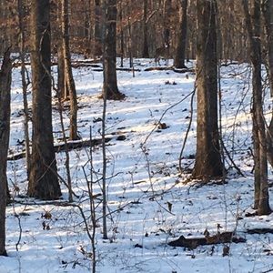 Meet your Posher, Bridget