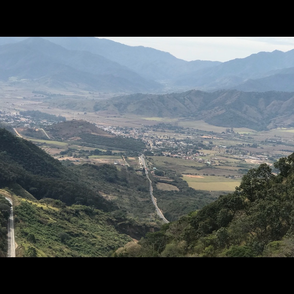 Meet your Posher, Nora