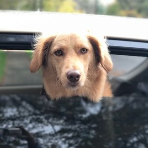 Meet your Posher, Valerie