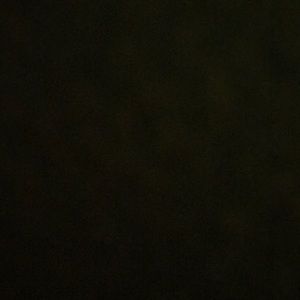 Meet your Posher, Pearl