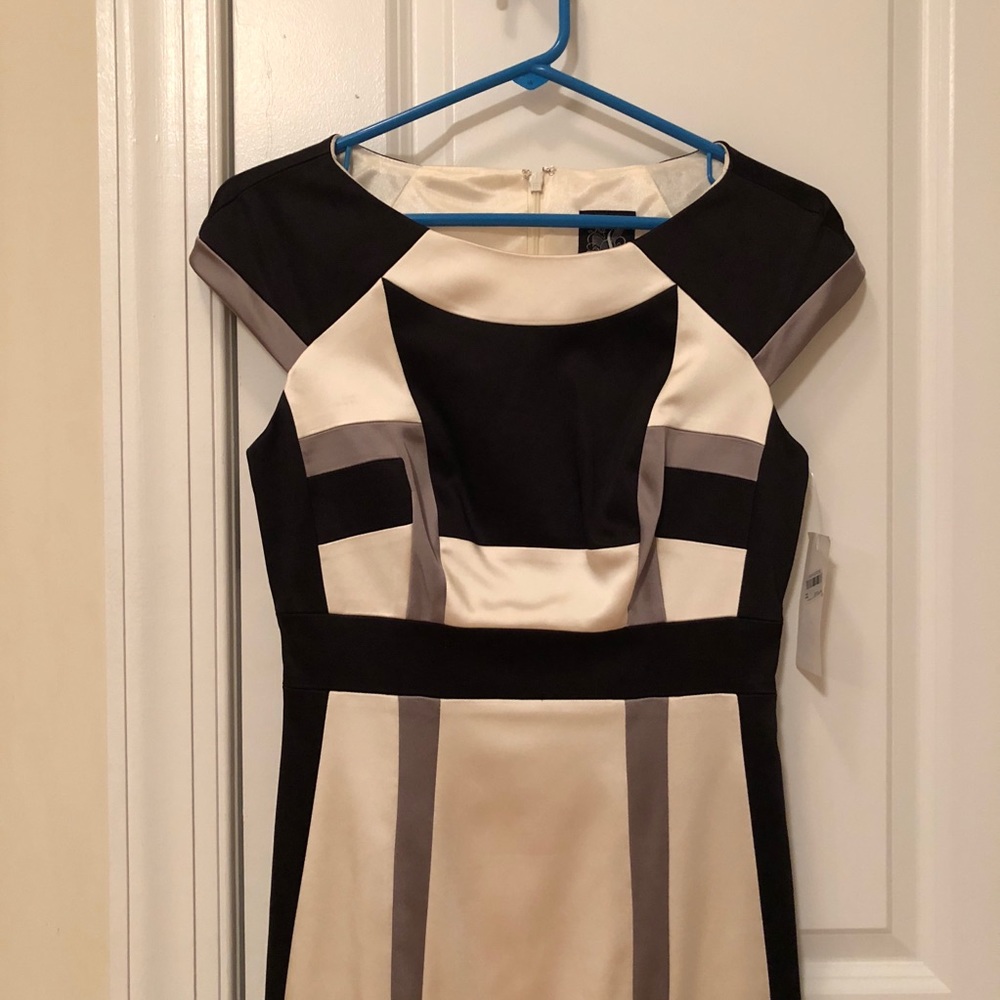 🔥Sale!🔥 NWT JAX Dress (6)