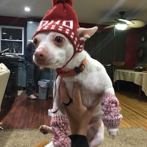 Meet your Posher, Jade