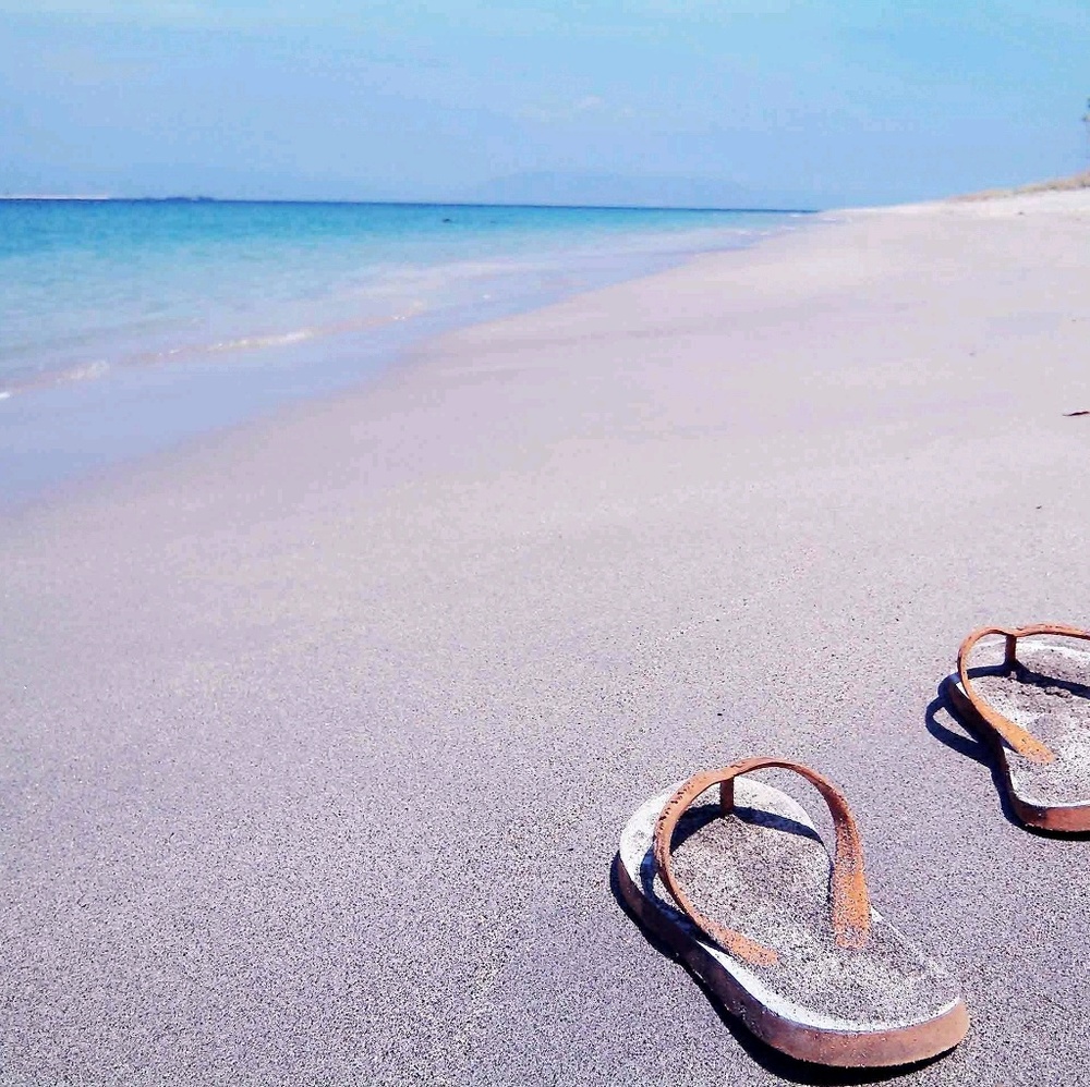 Meet your Posher, Jade