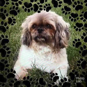 Meet your Posher, Wendy