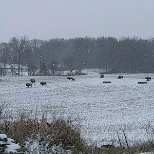 Meet your Posher, Adrianna