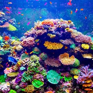 Meet your Posher, Whitney