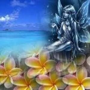 Meet your Posher, Rose