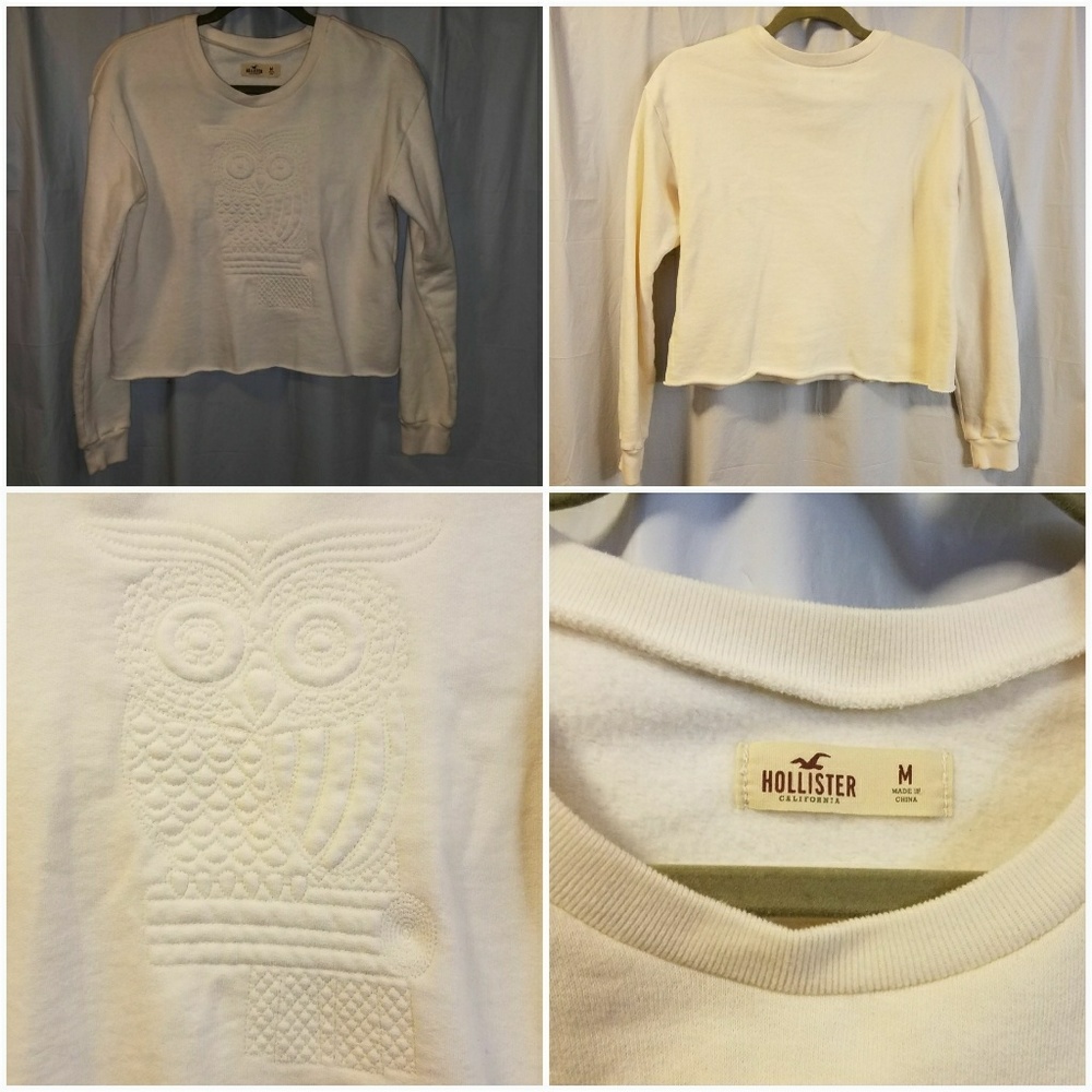 NWOT Hollister owl sweatshirt