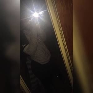 Meet your Posher, Mariah