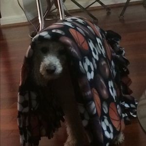 Meet your Posher, Bowen