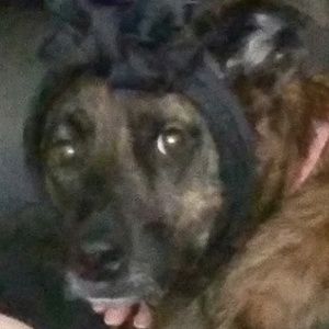 Meet your Posher, Ali