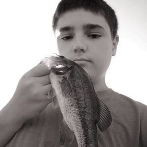 Meet your Posher, Terry