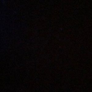 Meet your Posher, Harry