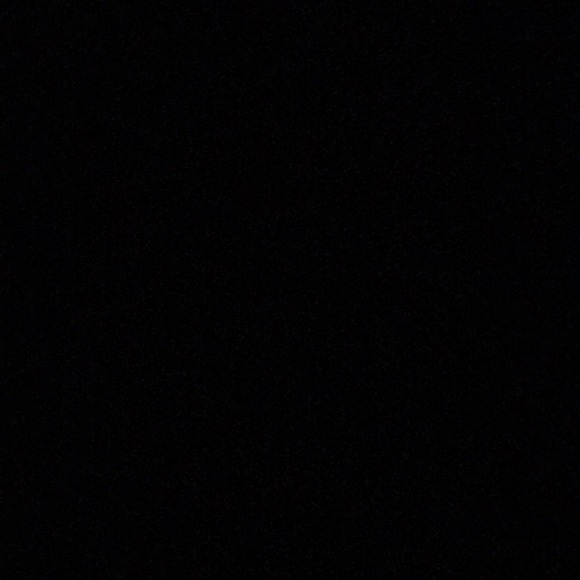 Meet your Posher, Lily - Picture 1 of 1