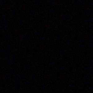 Meet your Posher, Lily