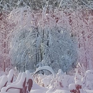 Meet your Posher, Tami