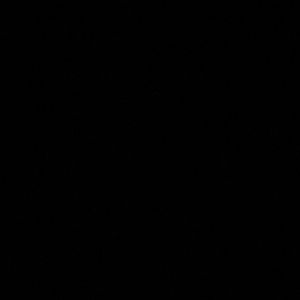 Meet your Posher, Brayden