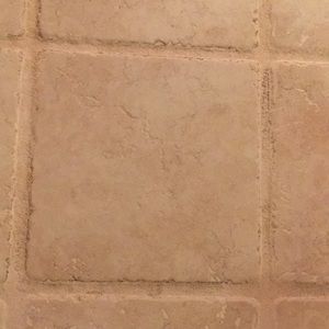 Meet your Posher, Corrine